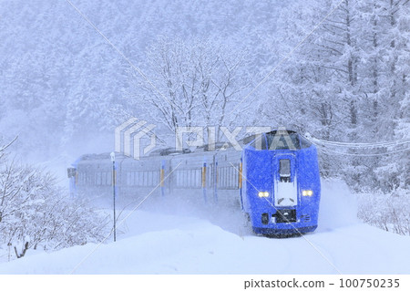 "Limited Express Sarobetsu" running on the Soya Main Line in winter "Limited Express Sarobetsu" running on the Soya Main Line in winter 100750235