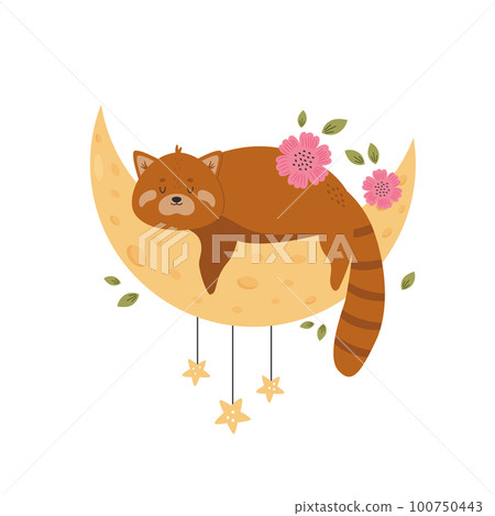 Little cute red panda sleeping on the moon. Adorable animal vector design, illustration Little cute red panda sleeping on the moon. Adorable animal vector design, illustration 100750443