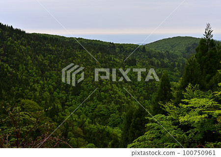 從上山高原 從上山高原 100750961