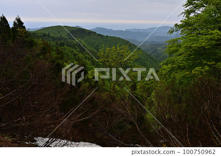 從上山高原 從上山高原 100750962