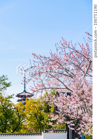 【奈良縣】奈良市藥師寺(2023年3月20日拍攝) 【奈良縣】奈良市藥師寺(2023年3月20日拍攝) 100751190