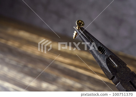 Nose pliers and screws 100751370