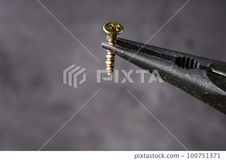 Nose pliers and screws 100751371