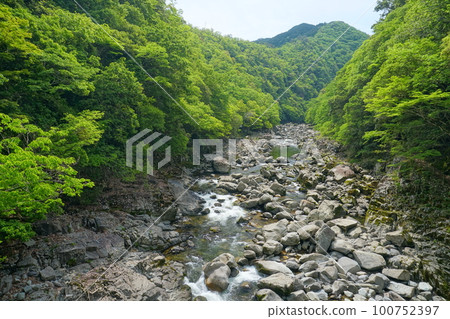 新綠閃耀的長門峽峽景 新綠閃耀的長門峽峽景 100752397