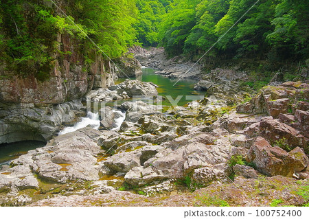 綠意盎然的初夏草紋峽Ver2 100752400