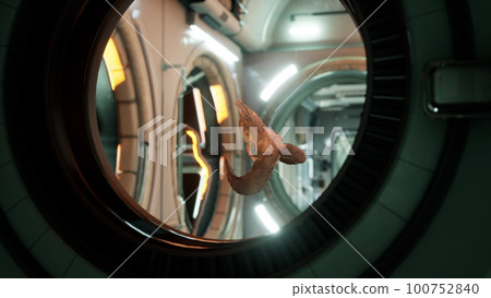 skull of dead ram in international space station skull of dead ram in international space station 100752840
