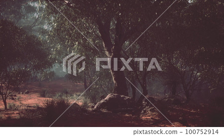 Coastal vegetation with trees and shrubs 100752914