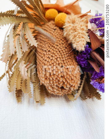 dried flower up 100753280