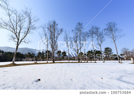 Fukiage Kogen campsite with a beautiful snowy landscape during the winter holidays 100753884