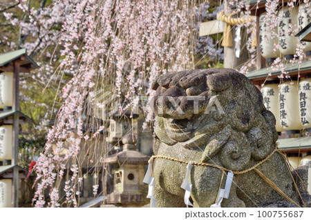 Komainu at Oishi Shrine 100755687