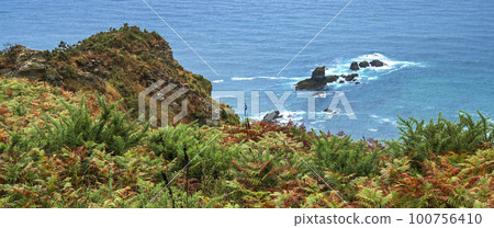 Seascape from Pena Furada Viewpoint, Ortigueira, Spain 100756410