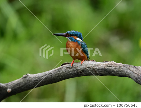 Interdiction Interdiction 100756643