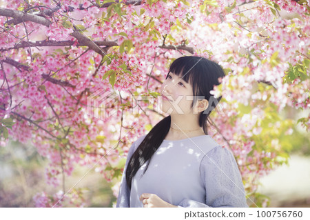 淀水道河津櫻花背景下的年輕女子 100756760