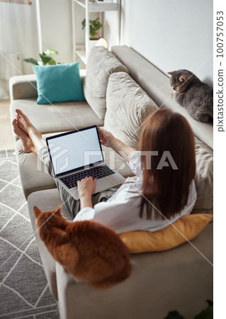Mockup white screen laptop woman using computer and two pet cat lying on sofa at home, back view, focus on screen 100757053