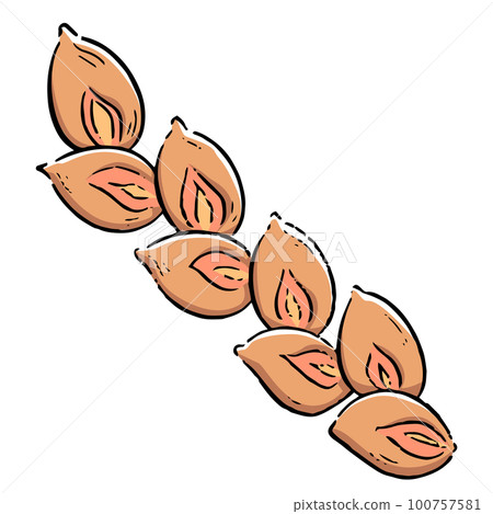 培根epi手繪插畫 100757581