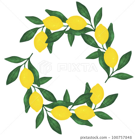 Hand drawn watercolor lemon lime with leaves frame isolated on white background. Scrapbook, post card, banner, lable. Hand drawn watercolor lemon lime with leaves frame isolated on white background. Scrapbook, post card, banner, lable. 100757848