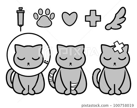 injured cat 1 100758019