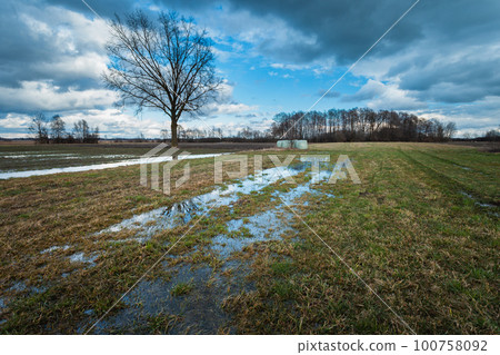 Water in a meadow with trees after a rainstorm 100758092