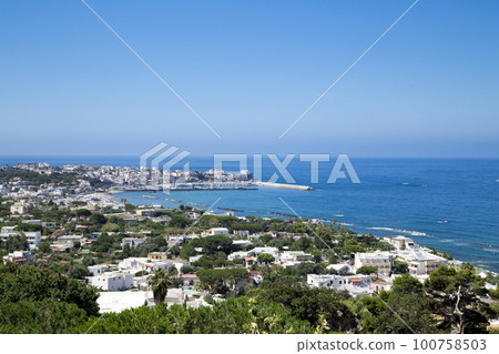 View from Belvedere di Zarro on Ischia Island 100758503