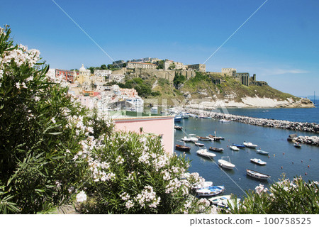 Procida Island Corricella Coast and Townscape 100758525