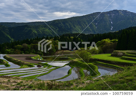 別次梯田的兵野山 別次梯田的兵野山 100759059