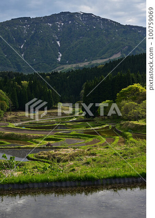 別次梯田的兵野山 別次梯田的兵野山 100759069