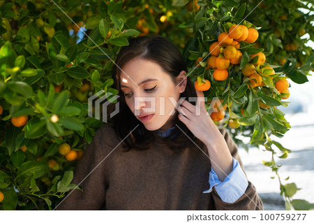 Woman standing near mandarin tree 100759277
