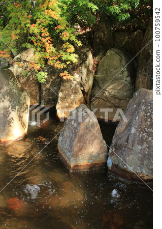 兵庫縣神戶市北區：有馬溫泉碳酸泉公園前的碳酸水池塘 100759542