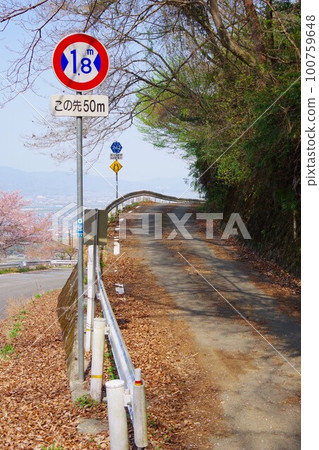 Yoshinogawa City, Tokushima Prefecture Branching from the Cherry Road Line to the Ueo Kamojima Line 100759648