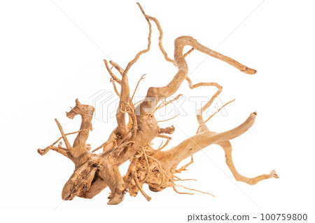 Red moor driftwood for aquarium aquascaping design isolated on the white background. Red moor driftwood for aquarium aquascaping design isolated on the white background. 100759800