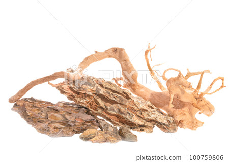 Ohko dragon stone with red moor driftwood for freshwater aquarium aquascaping design isolated on the white background. Ohko dragon stone with red moor driftwood for freshwater aquarium aquascaping design isolated on the white background. 100759806