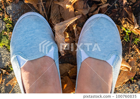 Close up of woman feet in light summer sneakers standing on autumn lawn with fallen yellow leaves. 100760835
