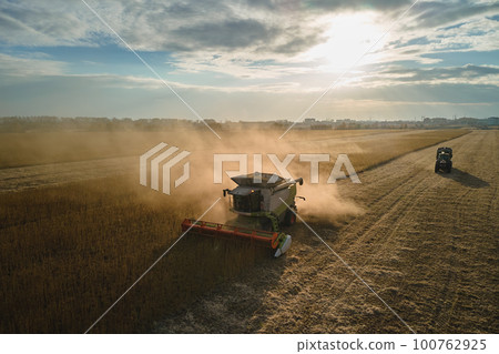 Aerial view of combine harvester working during harvesting season on large ripe wheat field. Agriculture concept 100762925