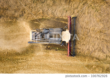Aerial view of combine harvester harvesting large ripe wheat field. Agriculture from drone view. 100762926