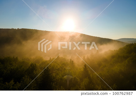 Aerial view of bright foggy morning over dark forest trees at warm summer sunrise. Beautiful scenery of wild woodland at dawn. 100762987