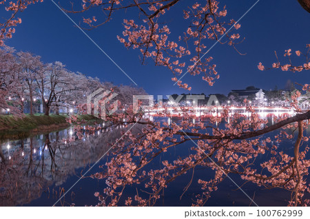 Cherry Blossoms	 100762999
