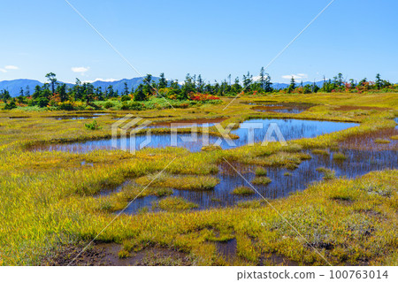 Mt. Naeba, a paradise in the sky with autumn leaves, one hundred famous mountains Niigata Mt. Naeba, a paradise in the sky with autumn leaves, one hundred famous mountains Niigata 100763014