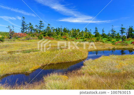 Mt. Naeba, a paradise in the sky with autumn leaves, one hundred famous mountains Niigata Mt. Naeba, a paradise in the sky with autumn leaves, one hundred famous mountains Niigata 100763015