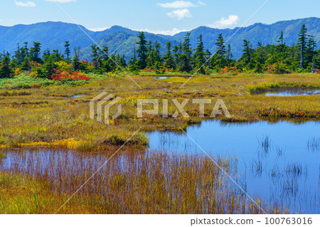 Mt. Naeba, a paradise in the sky with autumn leaves, one hundred famous mountains Niigata Mt. Naeba, a paradise in the sky with autumn leaves, one hundred famous mountains Niigata 100763016