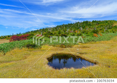 Mt. Naeba, a paradise in the sky with autumn leaves, one hundred famous mountains Niigata 100763034