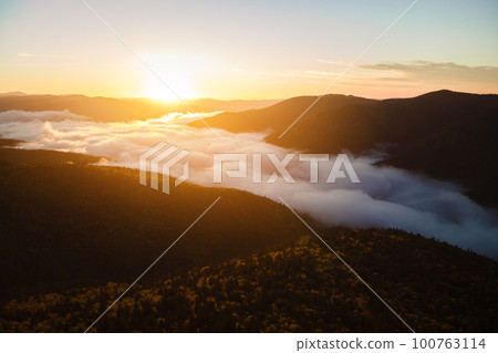 Aerial view of amazing scenery with foggy dark mountain forest pine trees at autumn sunrise. Beautiful wild woodland with shining rays of light at dawn 100763114