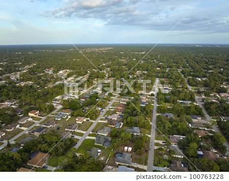 Aerial landscape view of suburban private houses between green palm trees in Florida rural area 100763228