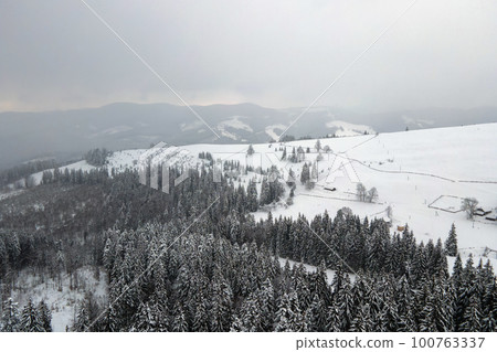 Aerial foggy landscape with evergreen pine trees covered with fresh fallen snow after heavy snowfall in winter mountain forest on cold quiet evening. Aerial foggy landscape with evergreen pine trees covered with fresh fallen snow after heavy snowfall in winter mountain forest on cold quiet evening. 100763337