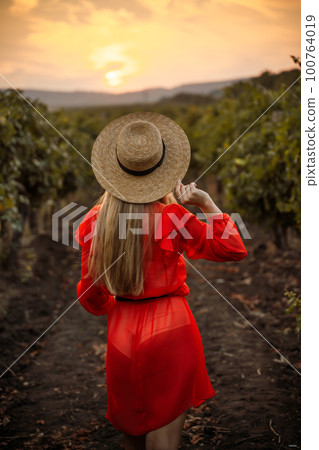 portrait of a happy young woman 30-32 years old in the summer vineyards at sunset. woman in a hat 100764019