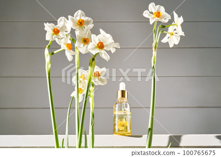A serum with yellow petals with fresh narcissus flowers. 100765675