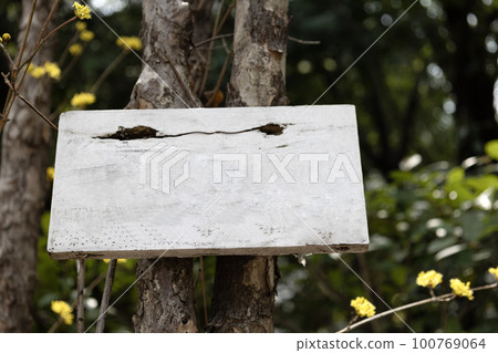 A wooden nameplate attached to a tree in a park 100769064
