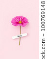 Calendar spring month May and beautiful flower on pink background. Top view Flat lay. Minimal concept Hello May. Top view, Flat lay, greeting card 100769148