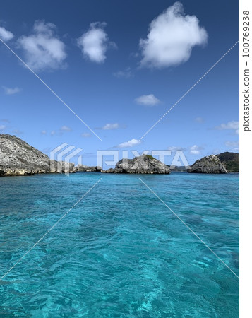 (東京)在陽光下閃耀著藍色光芒的大海 (東京)在陽光下閃耀著藍色光芒的大海 100769238