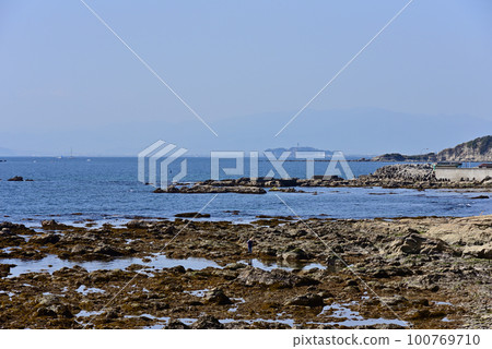 從三浦半島眺望江之島 從三浦半島眺望江之島 100769710