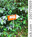 Mountain wooden signboard 100770609